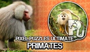 Jigsaw Puzzle Pack - Pixel Puzzles Ultimate: Primates